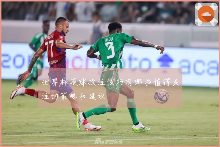 世界杯滚球投注技巧有哪些值得关注的策略和建议