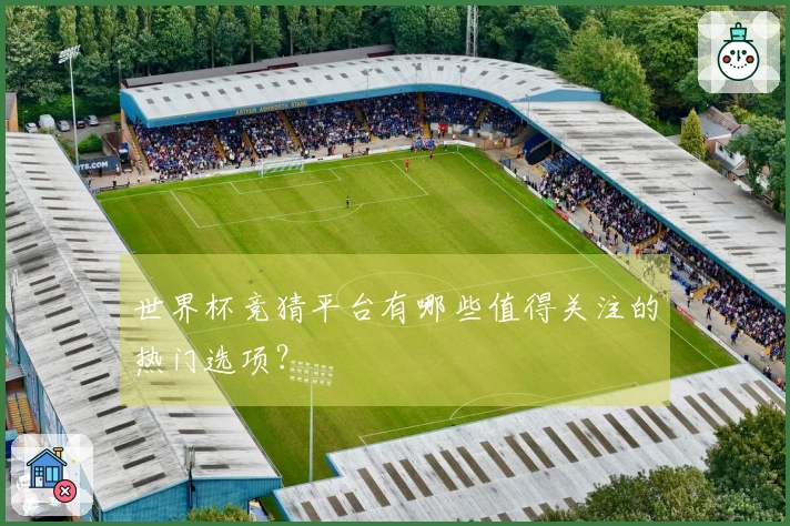 世界杯竞猜平台有哪些值得关注的热门选项？