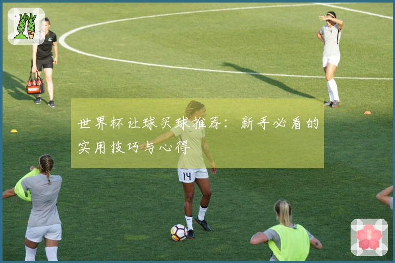 世界杯让球买球推荐：新手必看的实用技巧与心得
