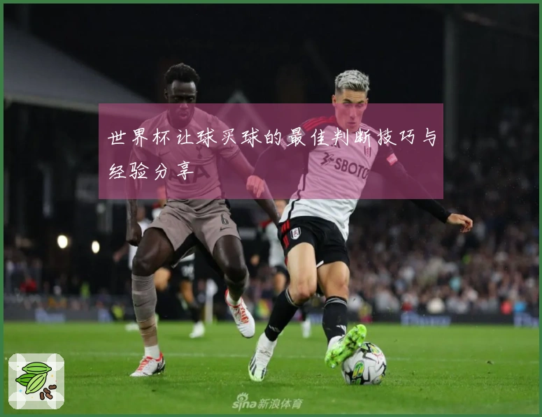 世界杯让球买球的最佳判断技巧与经验分享