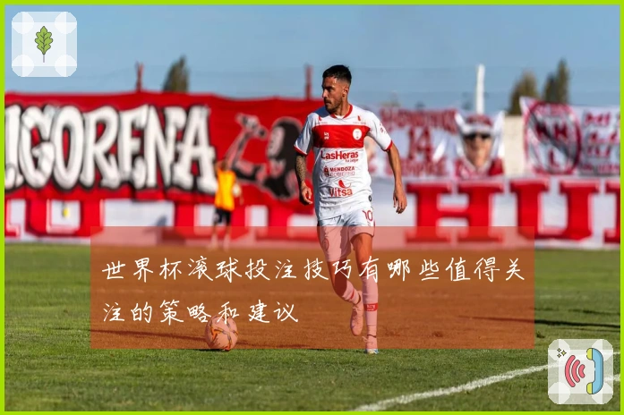 世界杯滚球投注技巧有哪些值得关注的策略和建议