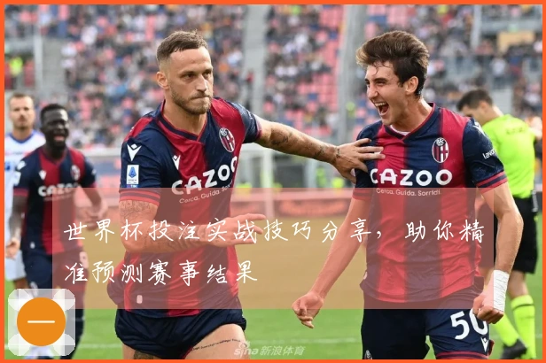 世界杯投注实战技巧分享，助你精准预测赛事结果