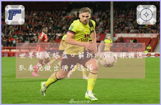 世界杯买球盘口解析：如何根据团队表现做出明智选择