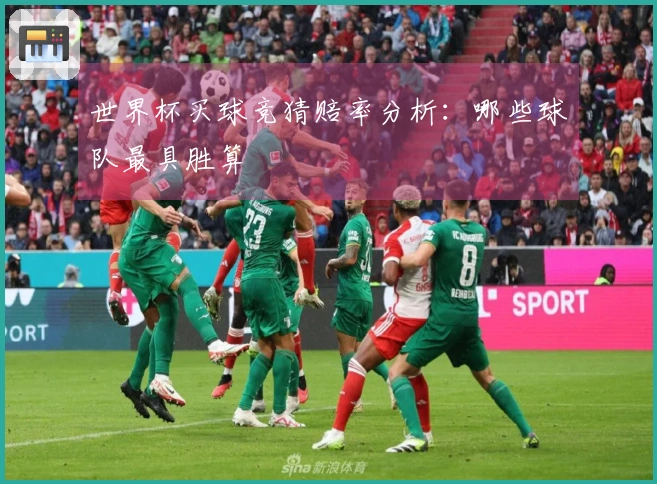 世界杯买球竞猜赔率分析：哪些球队最具胜算