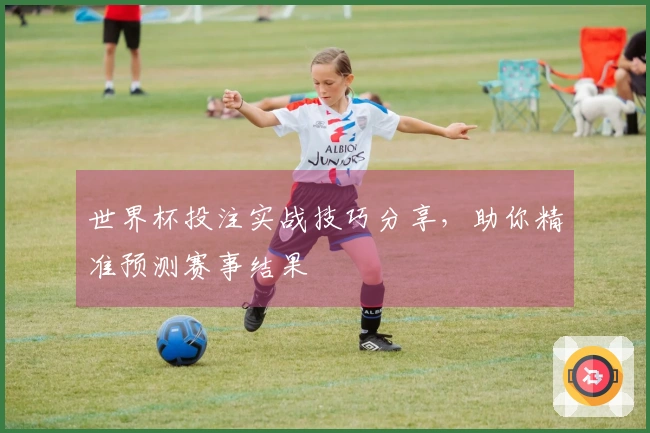 世界杯投注实战技巧分享，助你精准预测赛事结果
